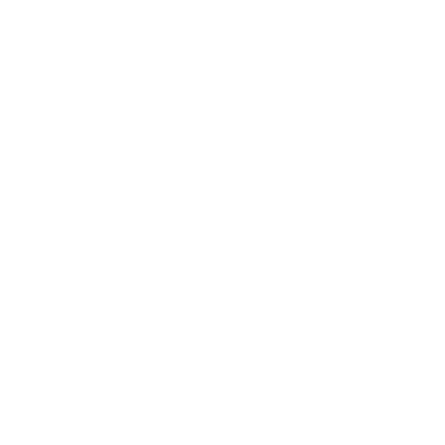 Castore Logo